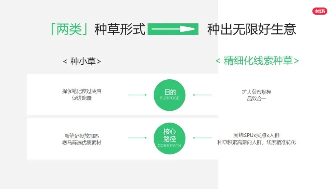 小红书平台2026年营销实操指南