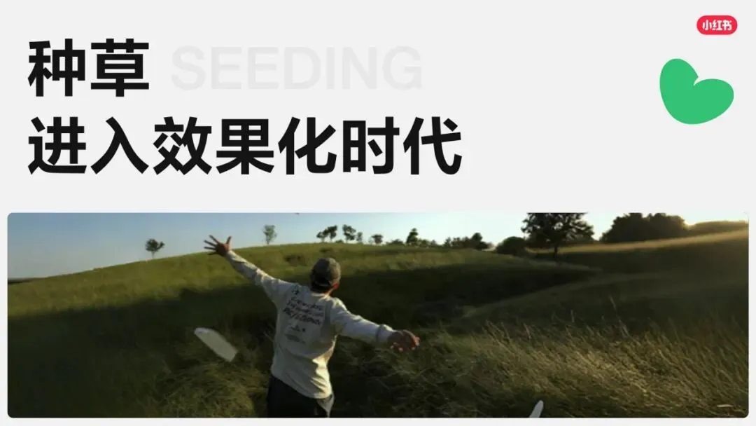 小红书平台2026年营销实操指南