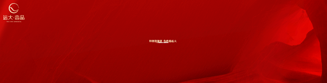 关于规范“探店”等营销短视频发布的提示