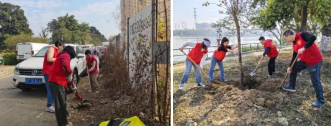 弘扬雷锋精神,市市场监管局开展学雷锋志愿服务系列活动