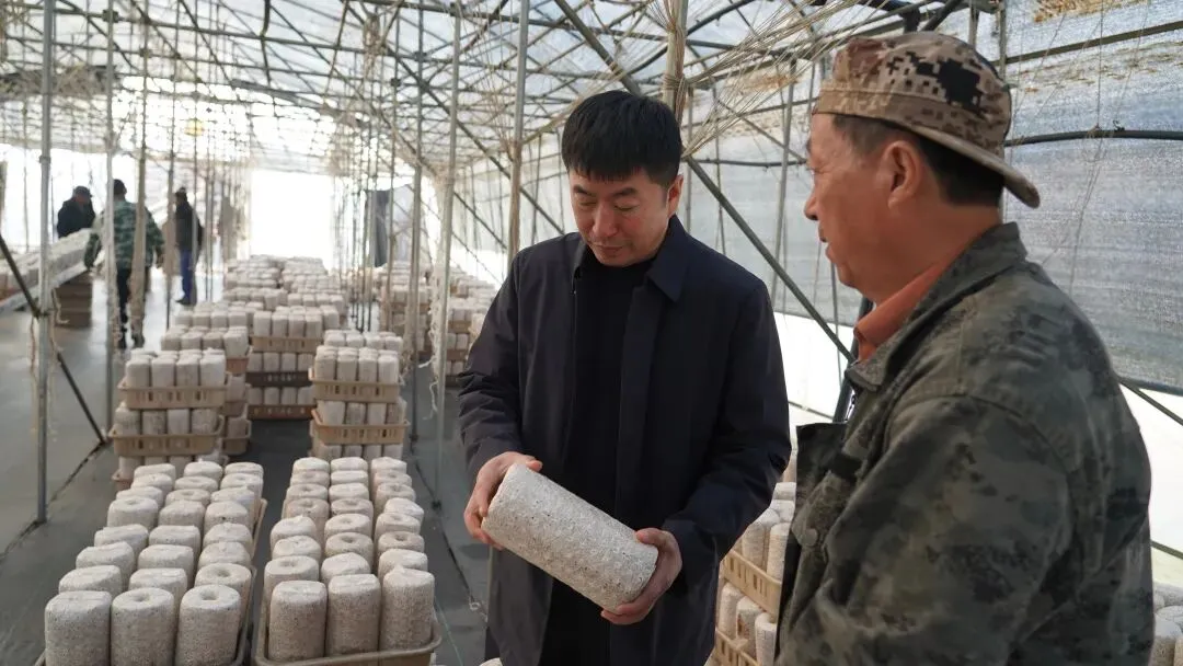 延军农场党委副书记徐显国到产业营销中心检查指导工作