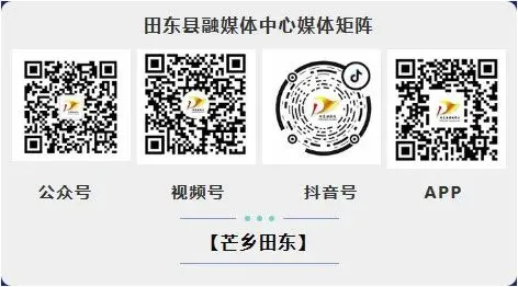 县市场监管局开展蔬菜制品专项监督抽检行动