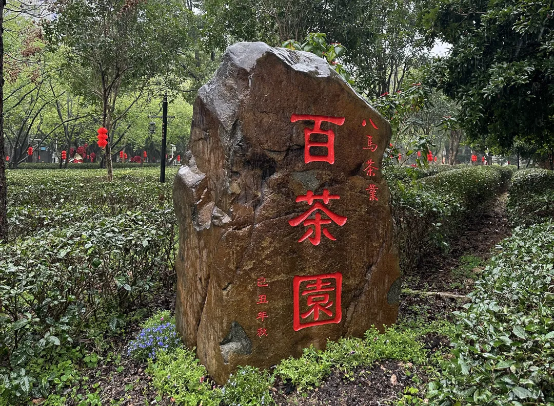 23岁创业,他把茶叶卖成中国高端市场第一