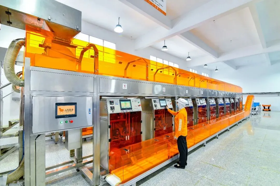 23岁创业,他把茶叶卖成中国高端市场第一