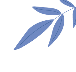 金昌市市场监督管理局 召开2026年全市第一季度药械化安全风险会商会议