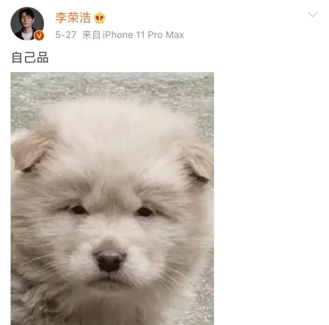 李荣浩,真活人还是营销咖