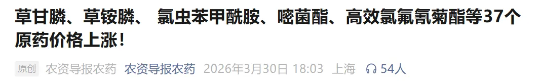 一场打脸全球资本市场的讲话