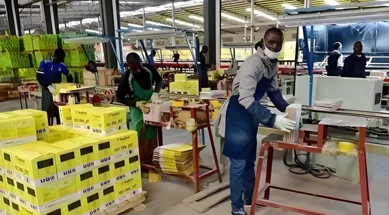 破卷之旅!非洲建材市场考察正在报名中