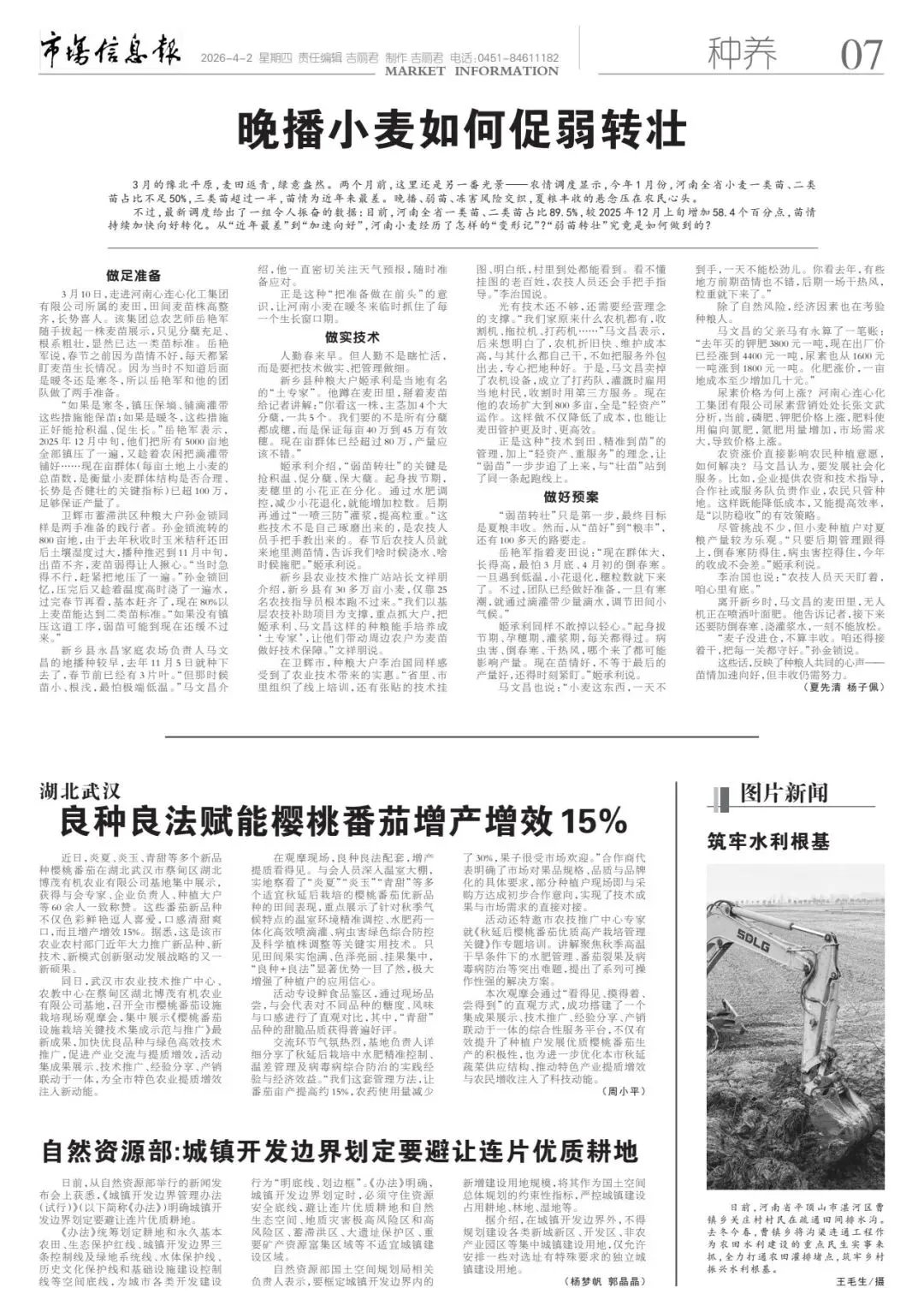 《市场信息报·乡村振兴周刊》最新内容