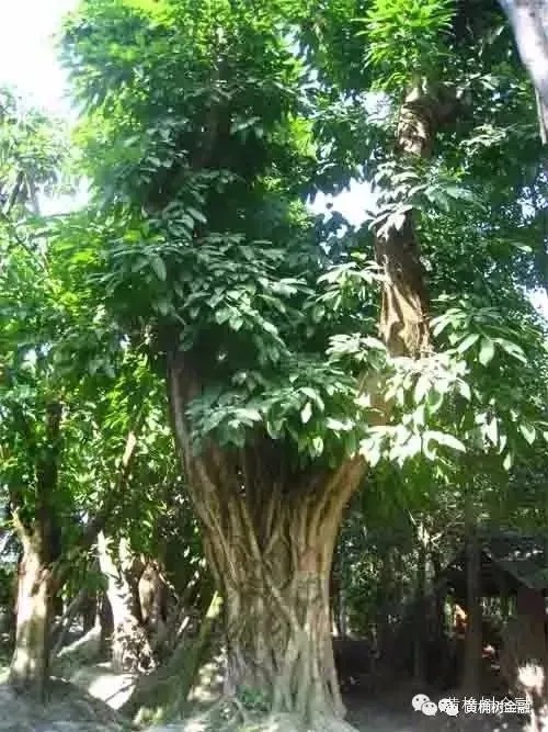 【消费金融•市场观察】网贷行业的天塌了