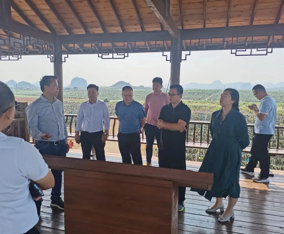 黔江农场公司:全员销售齐奋战 脆蜜金桔销路开