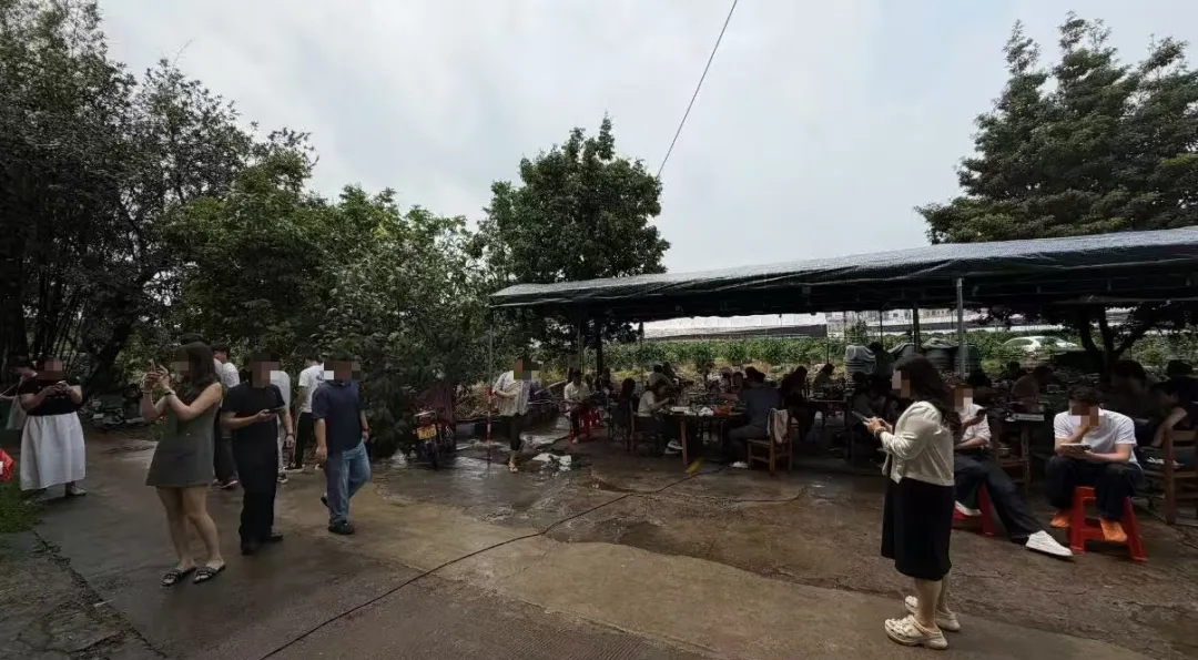 广东佛山一家鸡煲店爆火后,老板“反向营销,开小号自黑只为休息:踩雷,好难吃,吃了会拉肚子,都别来!老板直呼:有命赚没命花