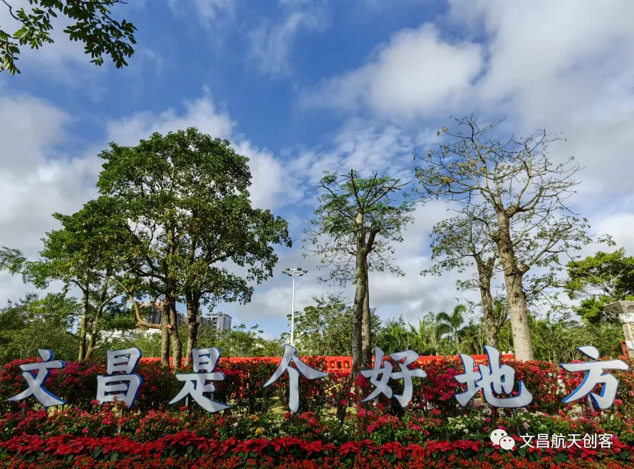 椰子在山西开拓市场