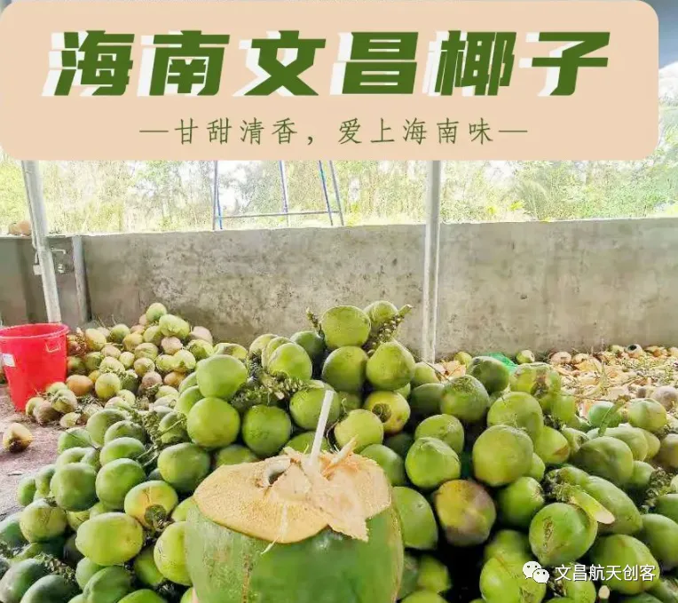 椰子在山西开拓市场