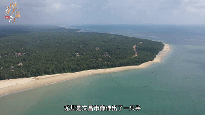 椰子在山西开拓市场