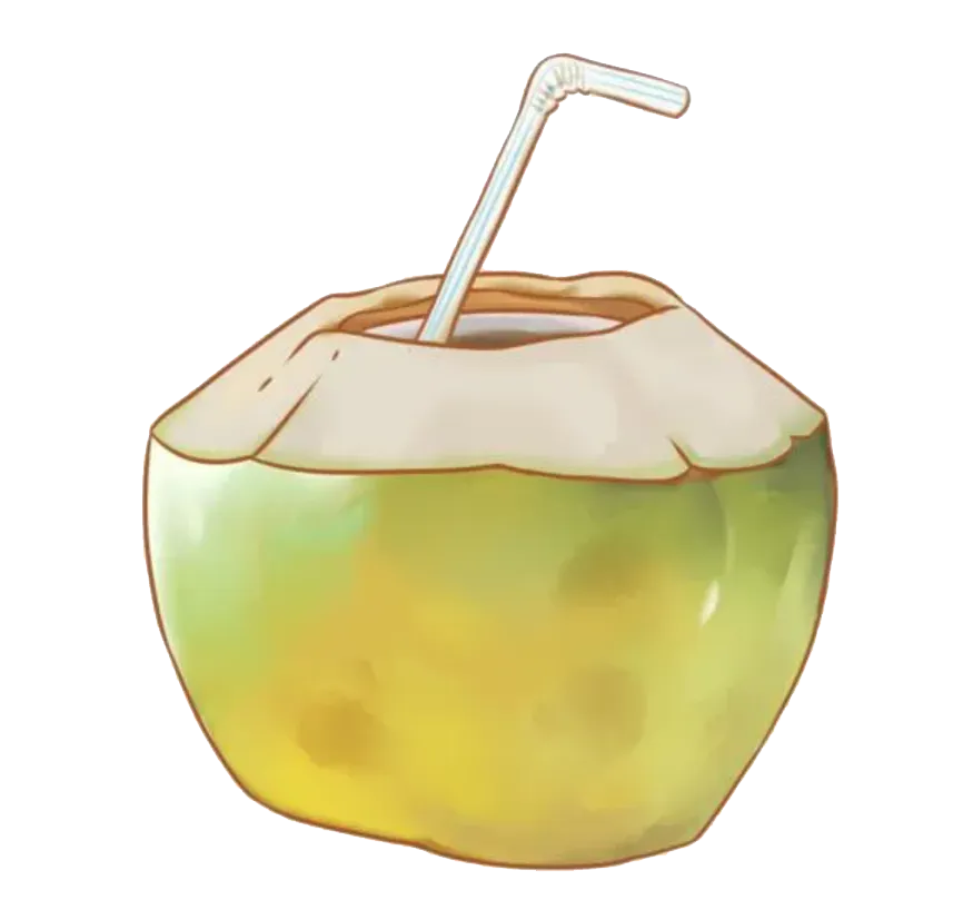 椰子在山西开拓市场