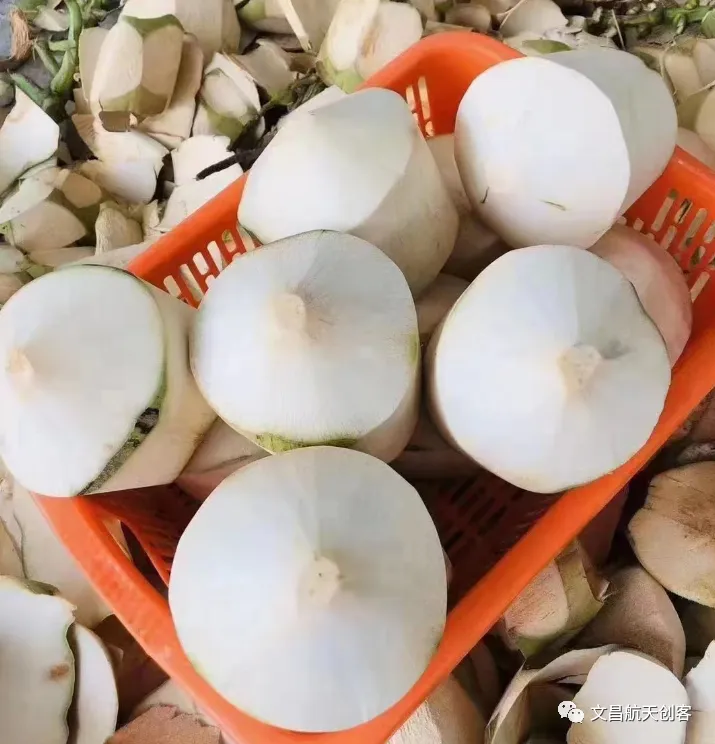 椰子在山西开拓市场