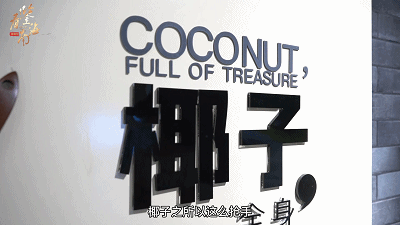 椰子在山西开拓市场