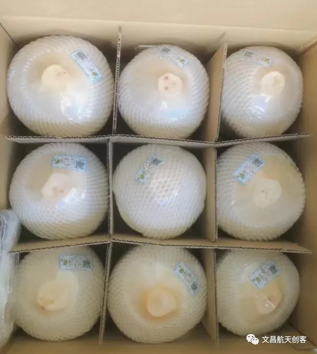 椰子在山西开拓市场