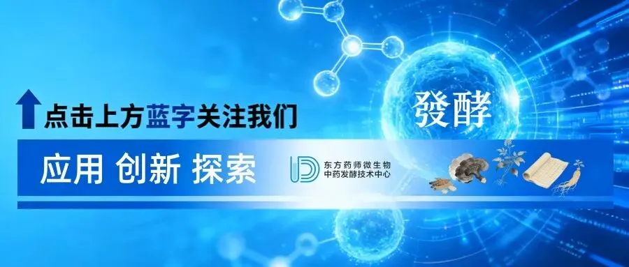 药食同源蓝海市场不赚钱的底层逻辑与创新破局——从产品贩卖到解决方案式健康服务的产业升级