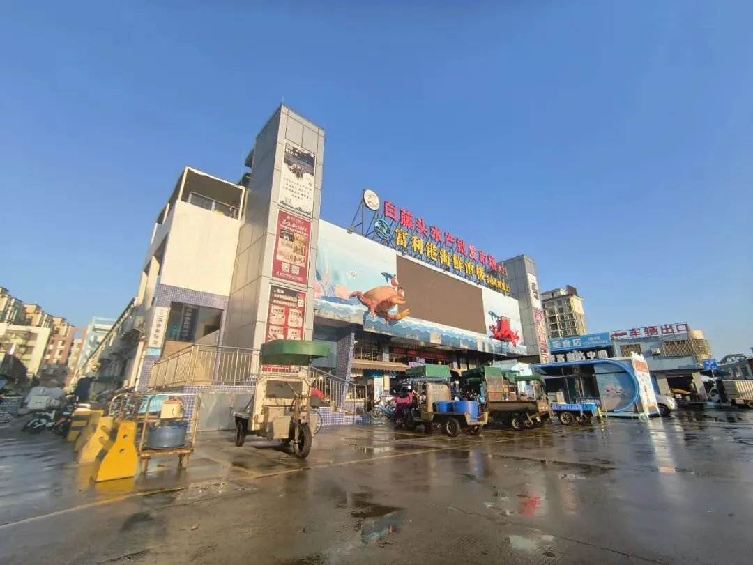 珠海白藤头海鲜批发市场的宝藏带鱼:揭秘众人爱吃的缘由,附采购挑选技巧与糖醋、清蒸、炸制等美味做法,一站式搞定带鱼美食