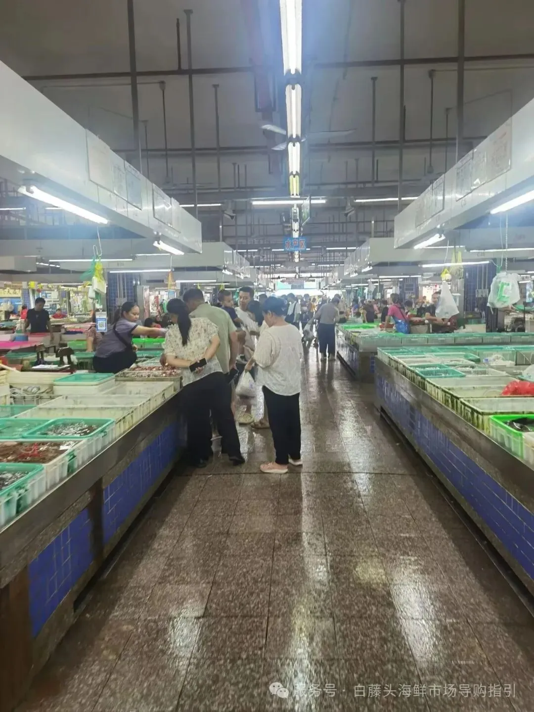 珠海白藤头海鲜批发市场的宝藏带鱼:揭秘众人爱吃的缘由,附采购挑选技巧与糖醋、清蒸、炸制等美味做法,一站式搞定带鱼美食