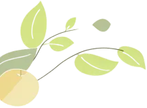 珠海白藤头海鲜批发市场的宝藏带鱼:揭秘众人爱吃的缘由,附采购挑选技巧与糖醋、清蒸、炸制等美味做法,一站式搞定带鱼美食