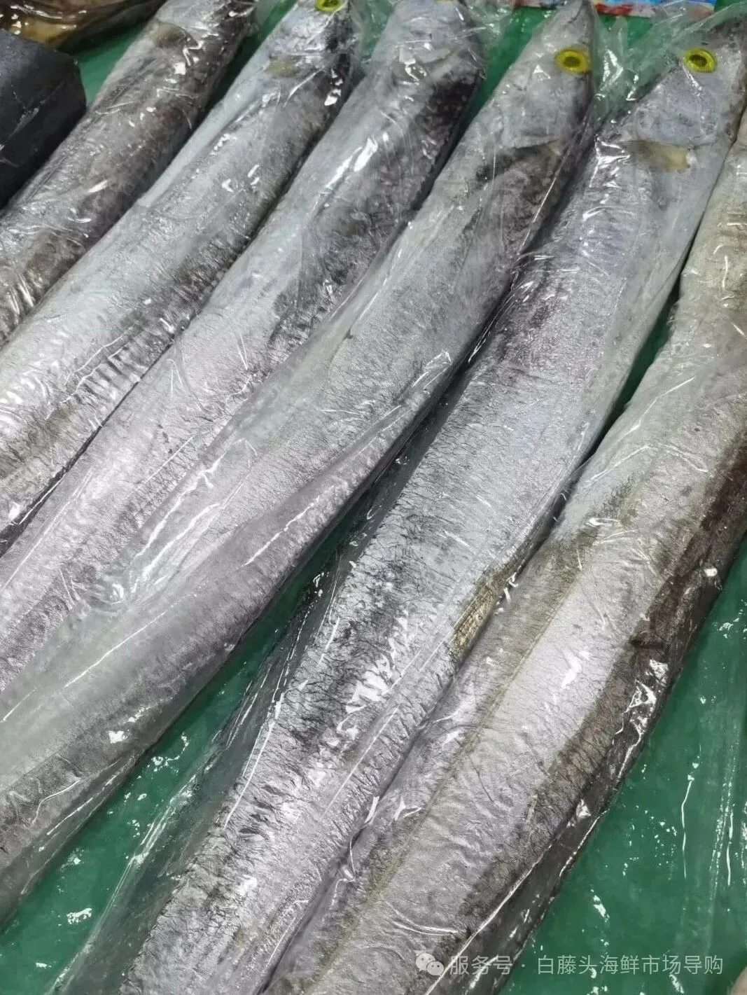 珠海白藤头海鲜批发市场的宝藏带鱼:揭秘众人爱吃的缘由,附采购挑选技巧与糖醋、清蒸、炸制等美味做法,一站式搞定带鱼美食