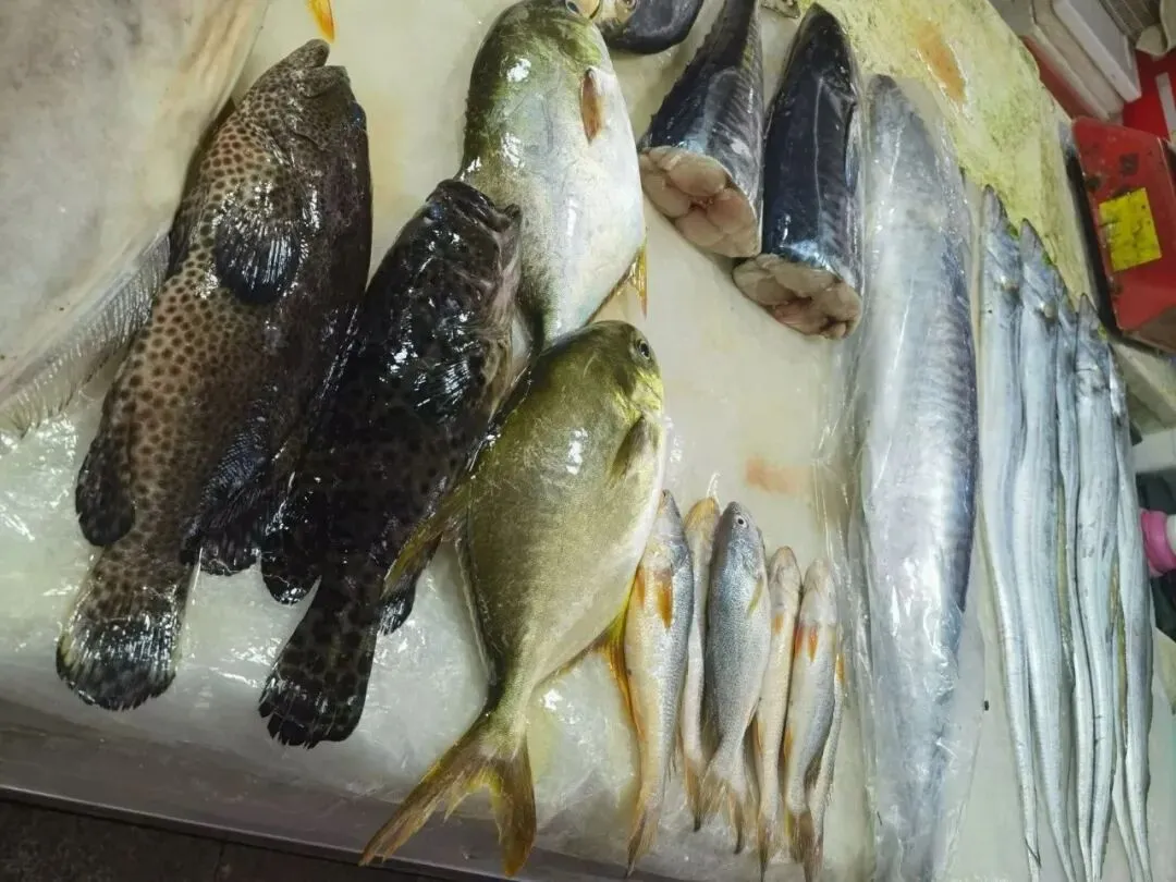 珠海白藤头海鲜批发市场的宝藏带鱼:揭秘众人爱吃的缘由,附采购挑选技巧与糖醋、清蒸、炸制等美味做法,一站式搞定带鱼美食