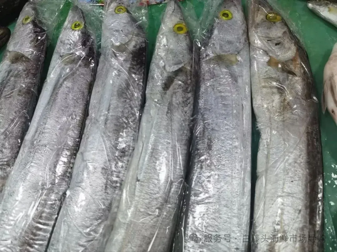 珠海白藤头海鲜批发市场的宝藏带鱼:揭秘众人爱吃的缘由,附采购挑选技巧与糖醋、清蒸、炸制等美味做法,一站式搞定带鱼美食