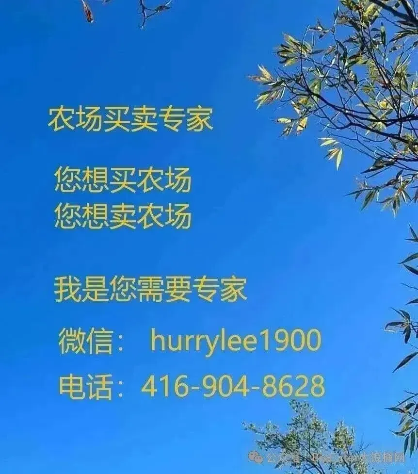 房地产春风“回暖”了,但市场还在等待