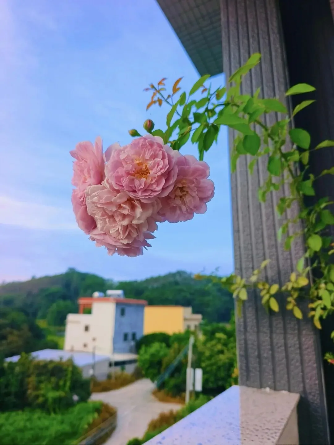 演出经纪人资格证书有什么用?市场需求怎么样?