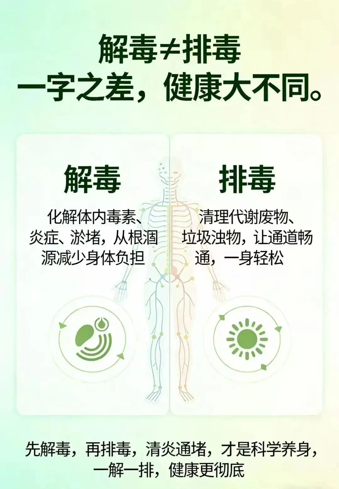 全新赛道,干亿市场,绝对商机 ! 2026年为什么一定要做王二明解毒茶?一文了解~