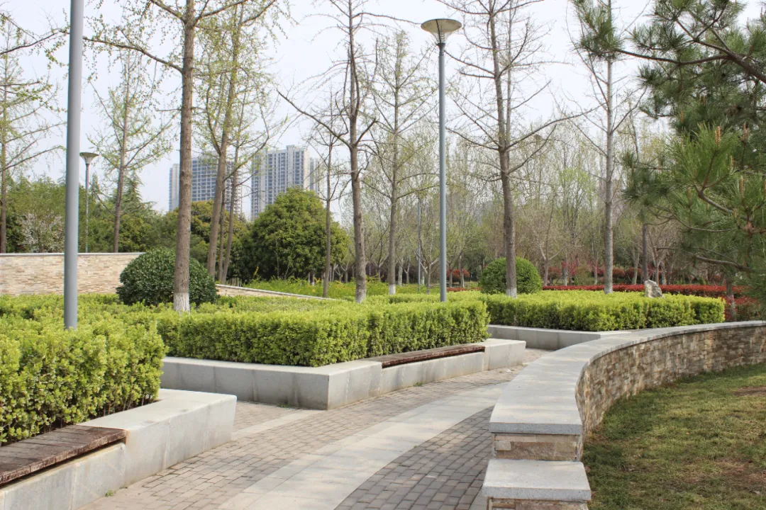 苗木市场“春江水暖”:从1-2月指数波动,看2026年园林行业新风口与定价逻辑