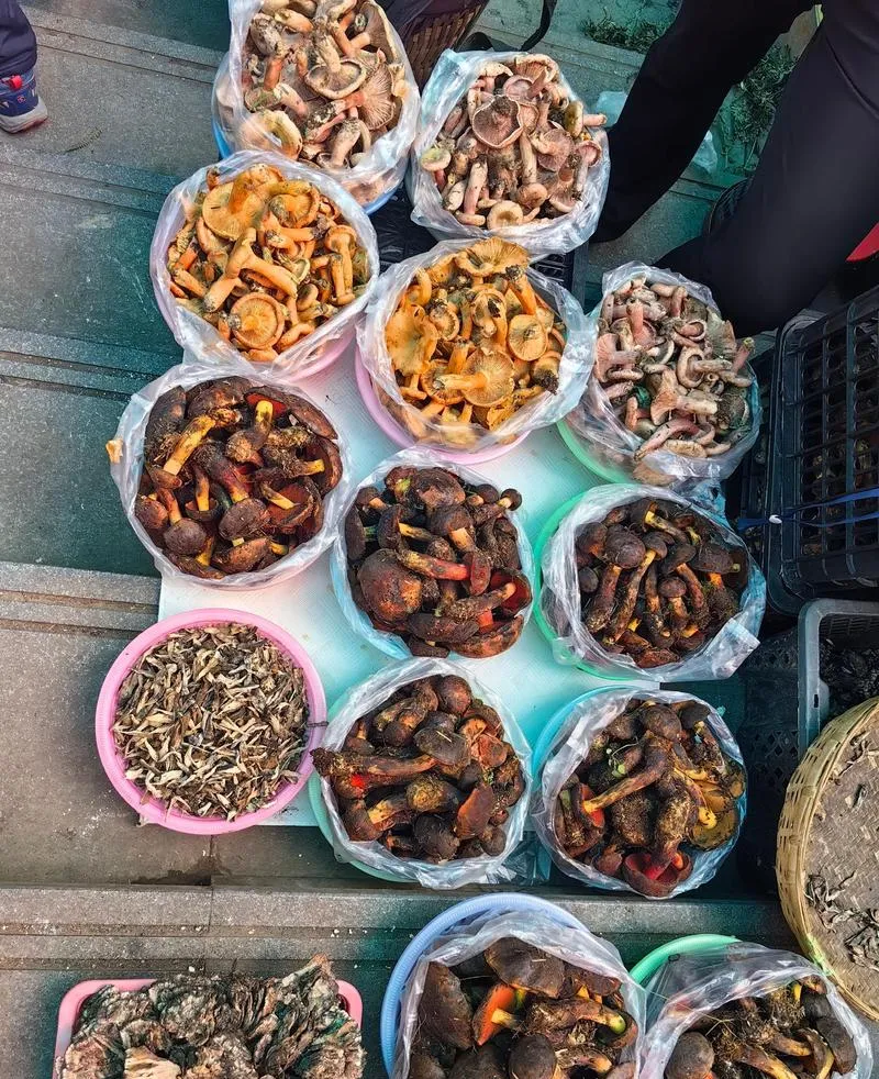 吃货直接狂喜!昆明市这个篆新市场,连吃一周都不带重样的