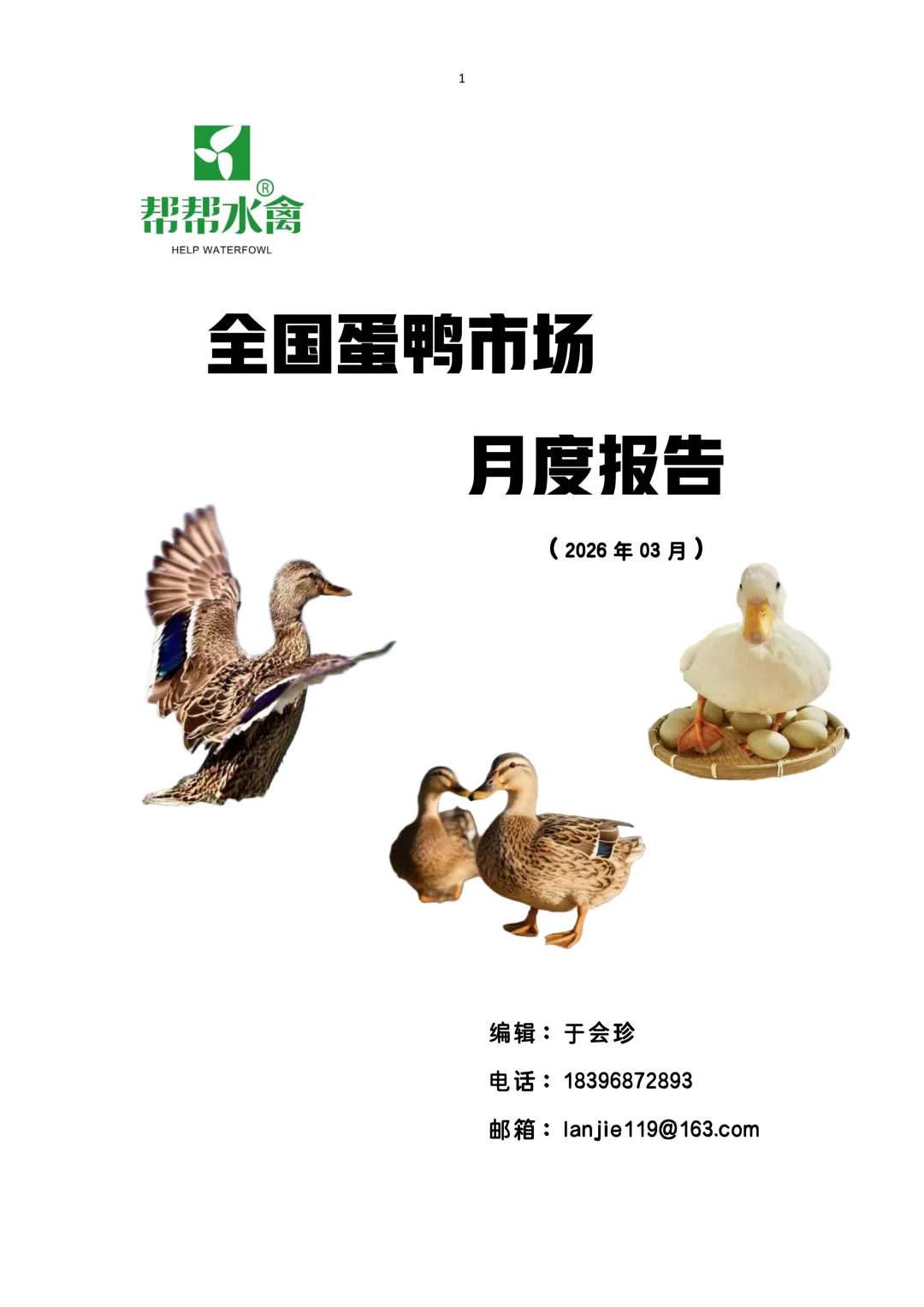帮帮水禽全国蛋鸭市场月度报告(2026.3.1-2026.3.31)