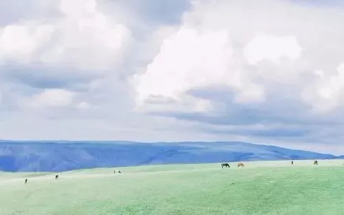 张兆曙 范晴雯 | 市场为本、规模为用:特色农业如何实现产业富民