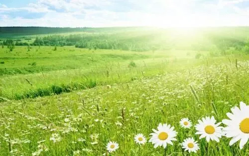 张兆曙 范晴雯 | 市场为本、规模为用:特色农业如何实现产业富民