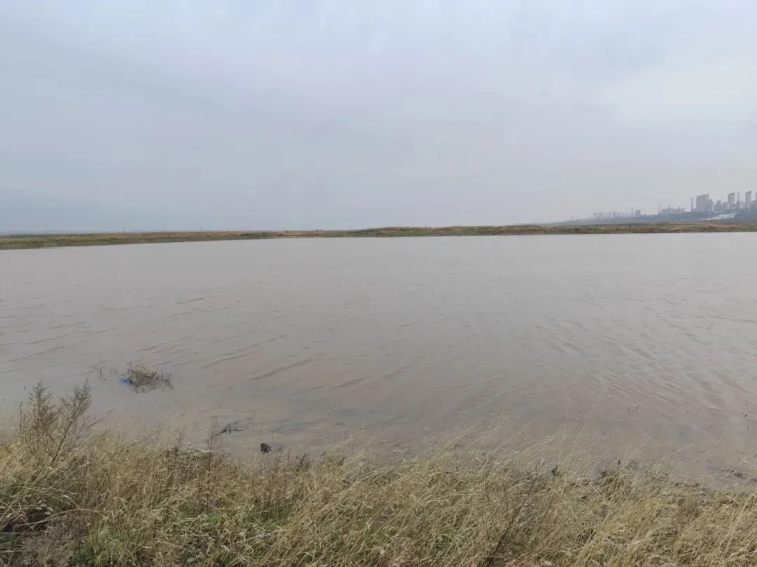 美特总演讲震动全球!NO停火引爆市场,A股为啥总跟着受伤!