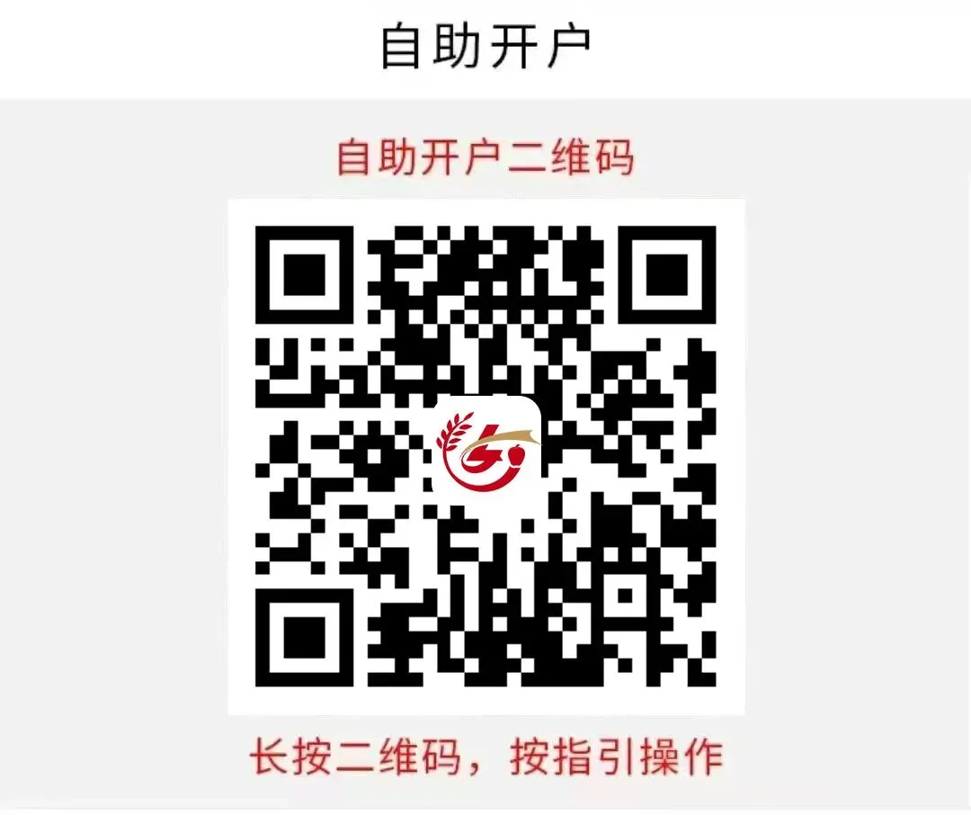 2026年4月3日生姜市场价格快报