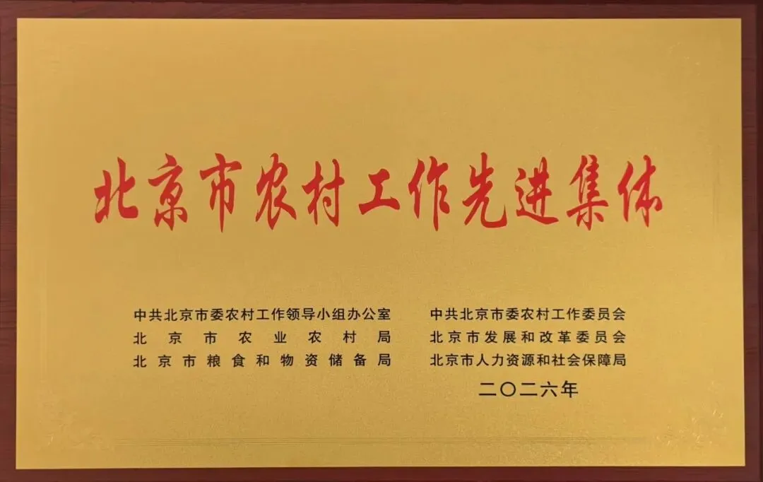 喜报 | 顺鑫石门市场荣获“北京市农村工作先进集体”荣誉称号!