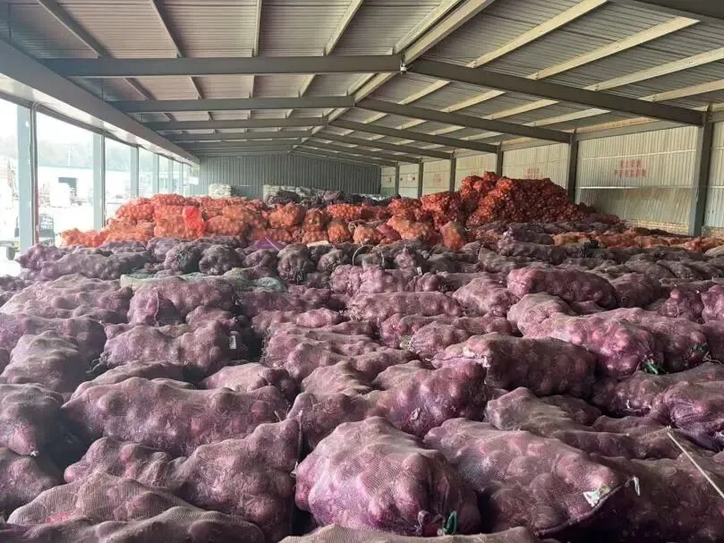 喜报 | 顺鑫石门市场荣获“北京市农村工作先进集体”荣誉称号!