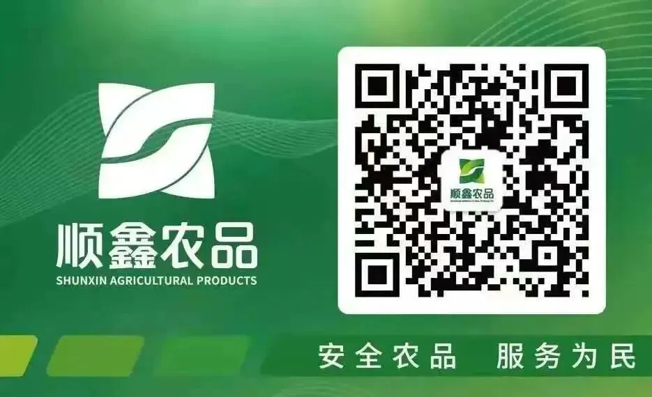 喜报 | 顺鑫石门市场荣获“北京市农村工作先进集体”荣誉称号!
