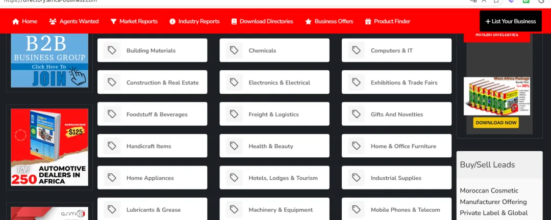 南非外贸获客:2 个新网站,速存