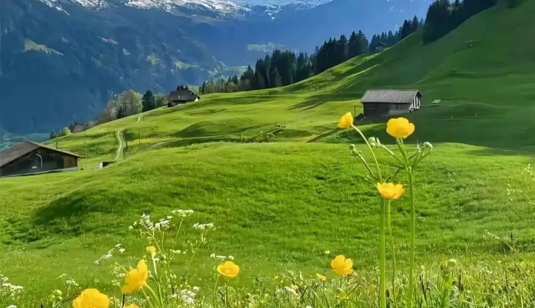 清明将至,如何才能抓住同城流量获客?