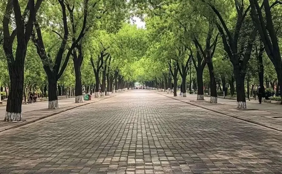 清明将至,如何才能抓住同城流量获客?