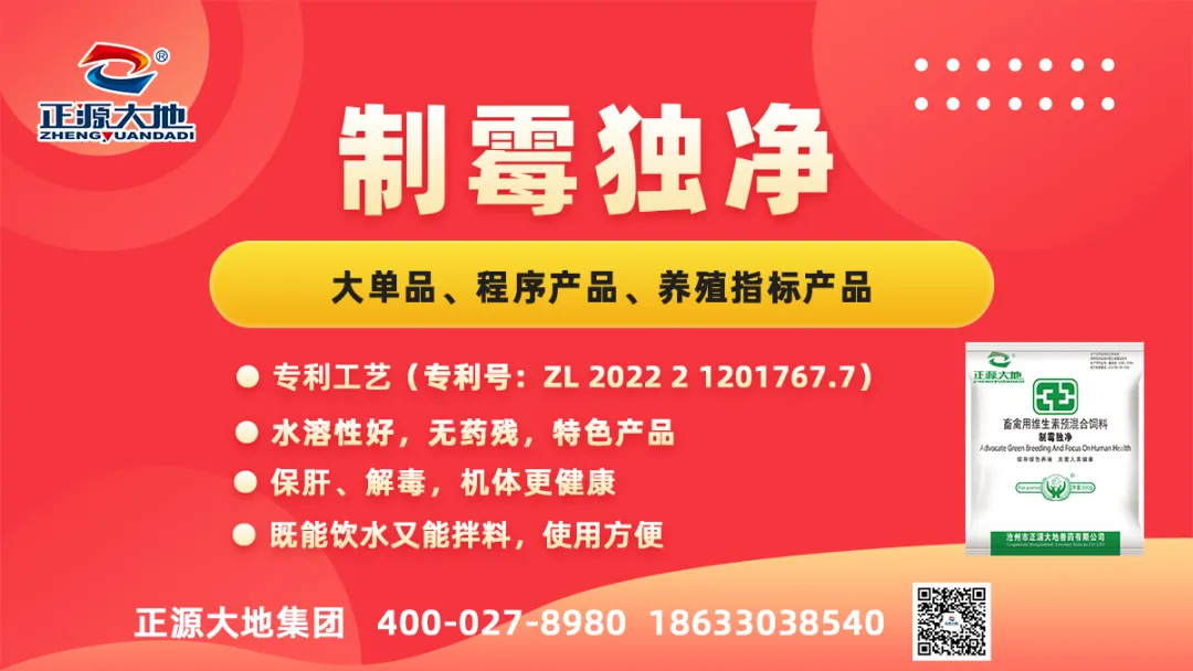 正源正语——存量市场,动保怎么玩?