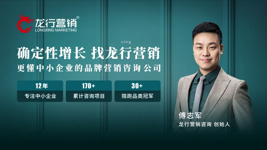 《品牌营销咨询案》——定战略 立品牌 推爆品