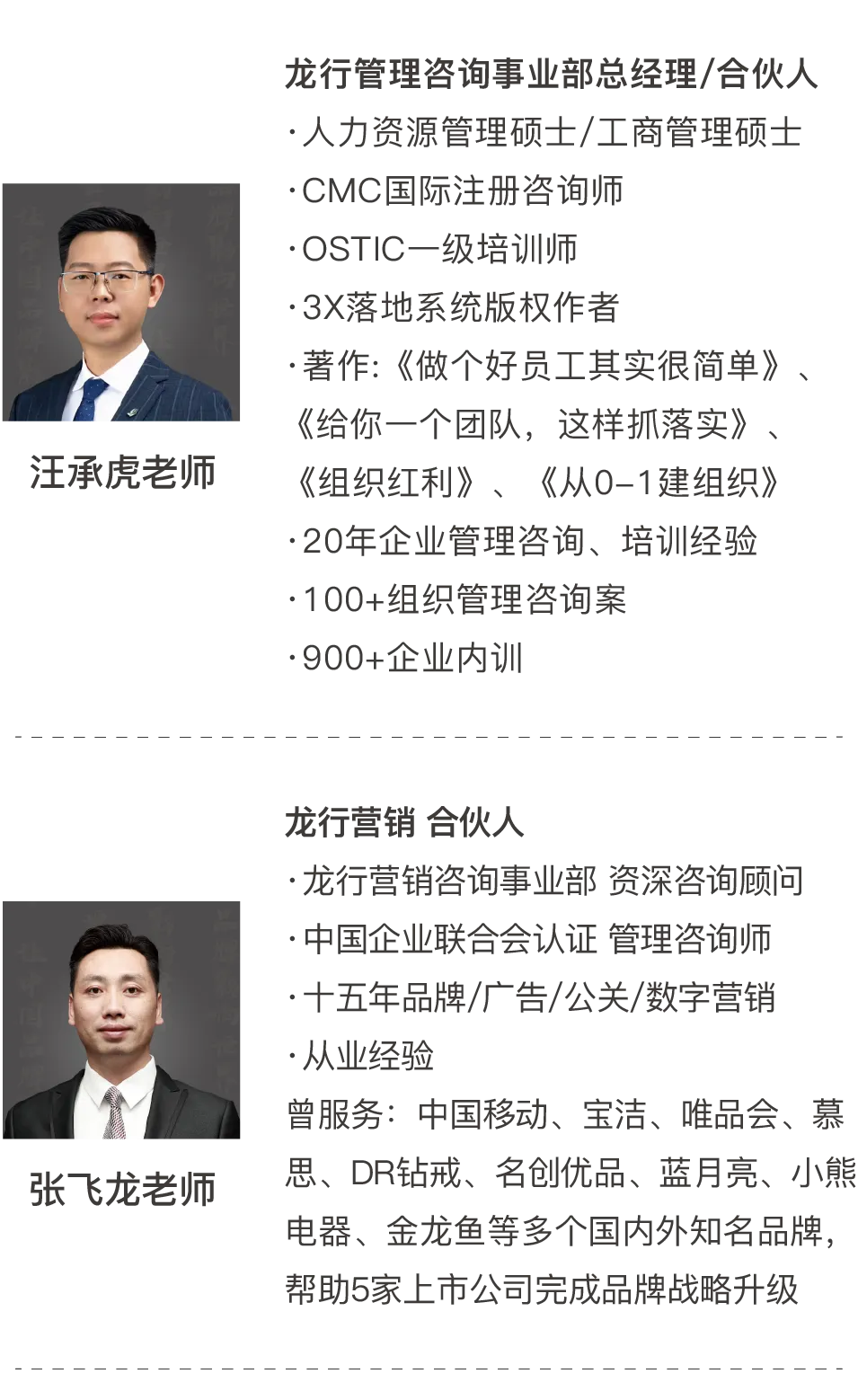 《品牌营销咨询案》——定战略 立品牌 推爆品