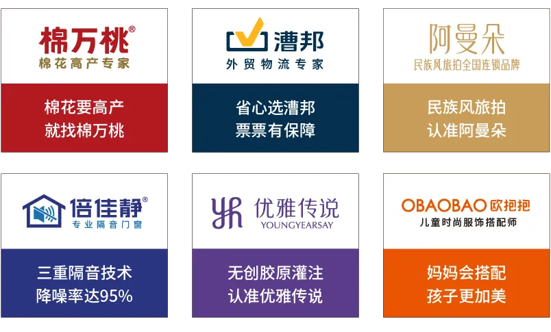 《品牌营销咨询案》——定战略 立品牌 推爆品